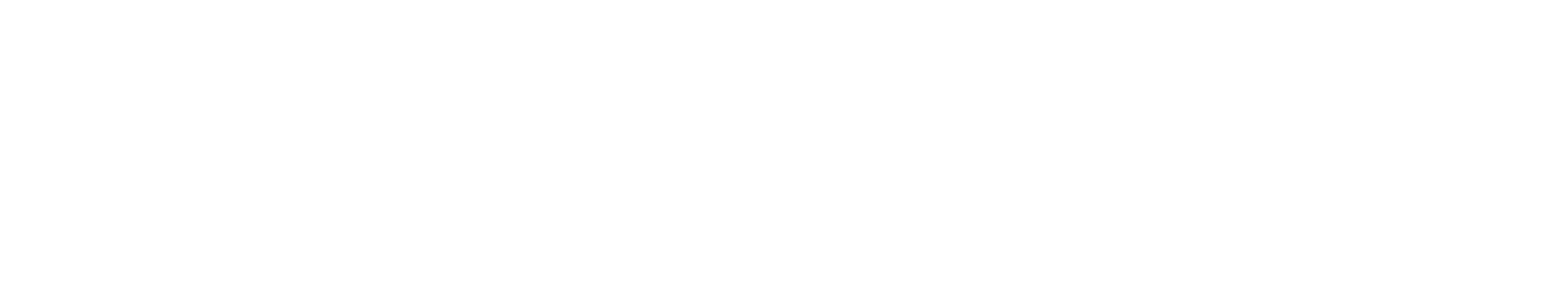 28 skymarine-logo-white